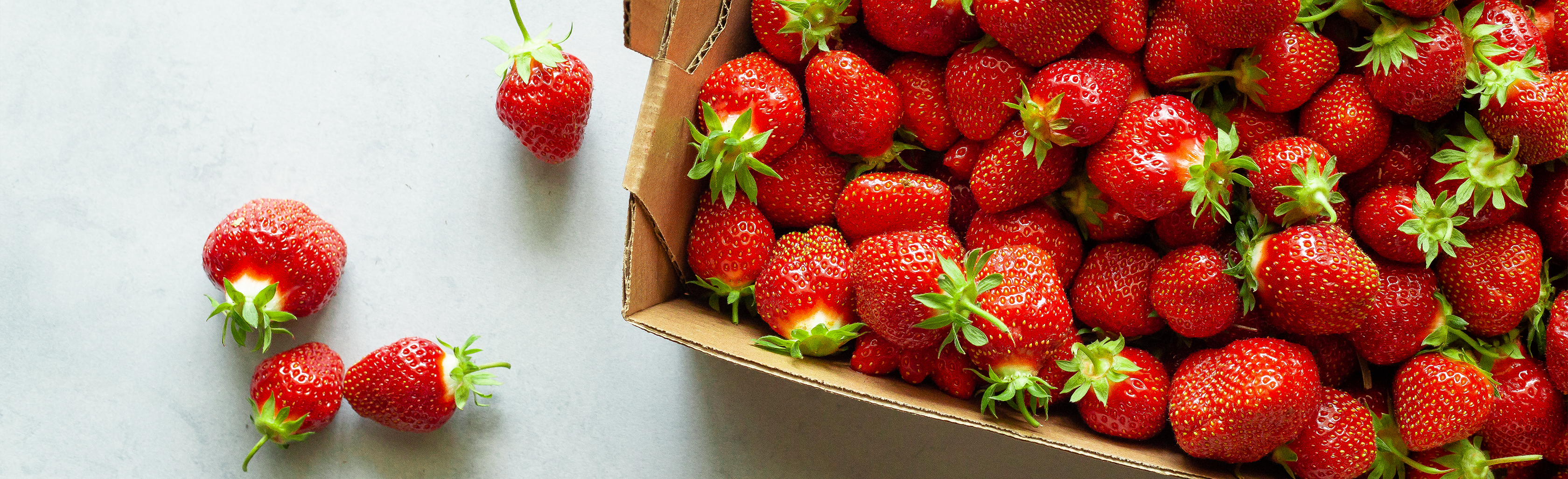 cropshare-strawberries-banner.png
