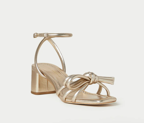 Mikel Sandal, Champagne