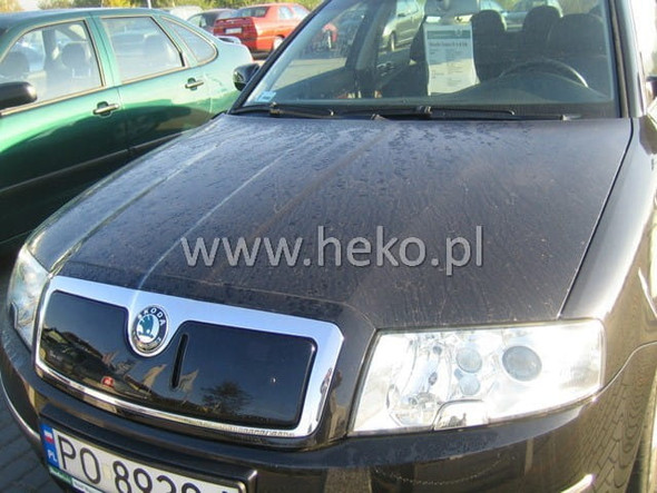 Team Heko Winter Cover - SKODA SUPERB I (4/5 Door) 2002 - 2006 (Upper Grille)