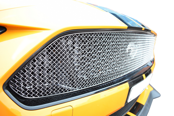 Zunsport Ford Mustang GT Facelift - Upper Grille - Silver finish (2018 -)
