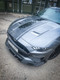Ford Mustang 5.0L GT Facelift - Front Splitter Fins