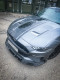 Triple R Composites Ford Mustang 5.0L FL - Fins