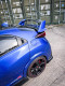 Triple R Composites Honda Civic Type R FK2 Rear Spats