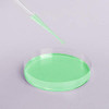 50 PCS Plastic Petri Dish, 90mm Dia  15mm Deep Clear Petri Dish with Lid Sterile Culture,Package Equipped with 100 PCS 3ml Transfer Pipettes