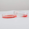 ADAMAS-BETA 3.3 Borosilicate Glass Culture Petri Dish Petri Plates, 200mm ODm, Pack of 1