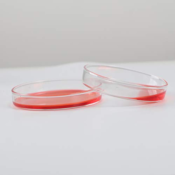 ADAMAS-BETA 3.3 Borosilicate Glass Culture Petri Dish Petri Plates, 200mm ODm, Pack of 1