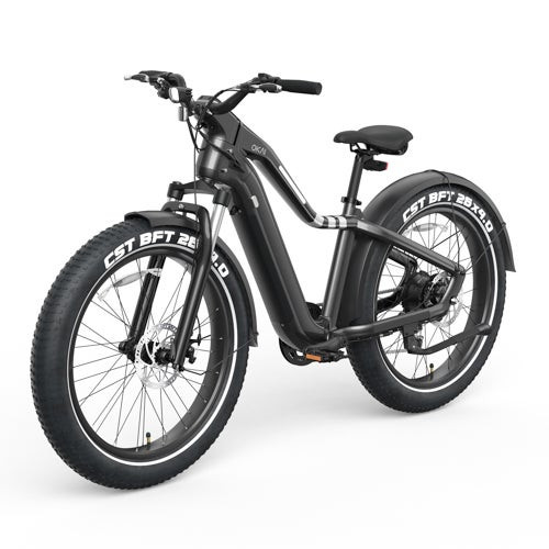 Ranger EB50 Electric Fat Tires Mountain Bike Black
