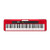 Casiotone 61 Key Portable Keyboard Red