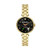 Ladies' Holland Gold-Tone Stainless Steel Watch, Black Somewhere Dial