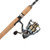 President Spinning Combo 2pc 6ft 6in 25 Reel