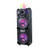 2 x 12" Portable Party Speaker w/ Disco Light