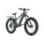 17" Apex 750W E-Bike Evergreen