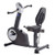 Elite Total Body Recumbent Bike