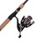 Elite Spinning Combo 30 Reel 2pc 6ft 6in Rod