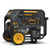 5700 Watt Gas & LPG Dual Fuel Electric Start Portable Generator