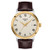 Men's Classic Dream Gold & Brown Leather Strap Watch, Ivory Dial