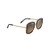 Pua Polarized Sunglasses, Tortoise & Gold, HCL Bronze Lens