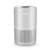 Core 300 RAC-P Air Purifier Gray