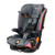 MyFit ClearTex Harness + Booster Car Seat Coral