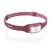 Range 300 Headlamp Wild Fig