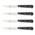 4pc Porterhouse Steak Knife Set in Beechwood Box
