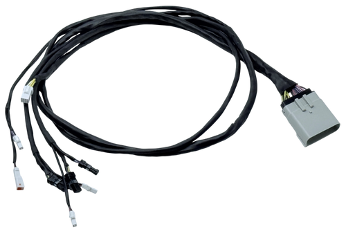 User 1