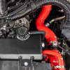 Mishimoto 2024+ Toyota Tacoma Silicone Coolant Hose Kit - AT - Blue - MMHOSE-TAC-24ABL User 1