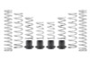 Eibach 24-26 Can-Am Maverick X3 MAX Pro-UTV Stage 3 Kit - Set of 8 - E85-212-018-03-22 Photo - Primary
