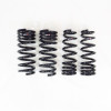 RS-R 2022 Lexus IS500 Down Sus Springs - T594D User 1