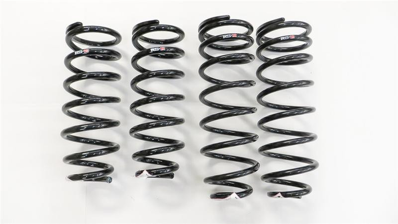 RS-R 01-06 Lexus LS430 (UCF30/31) Super Down Springs - T284S Photo - Primary