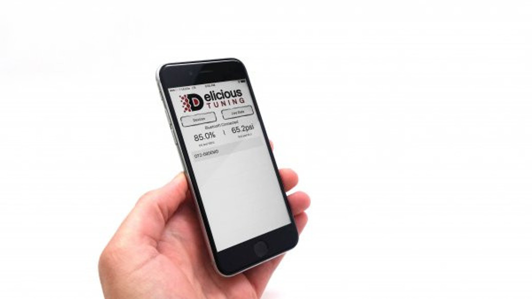Delicious Tuning FlexFuel Ethanol Content Analyzer BlueTooth App
