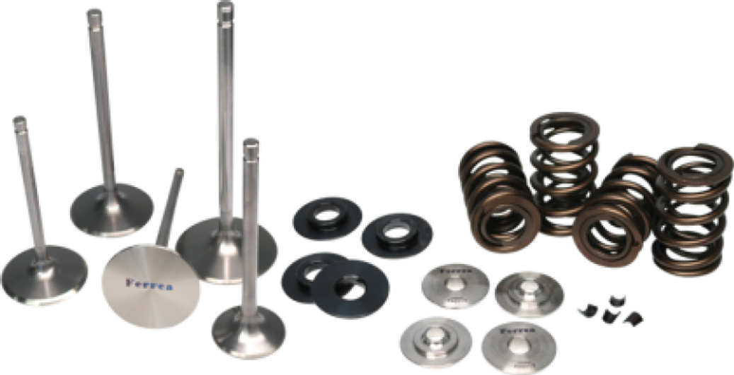 Ferrea 01-06 BMW S54 Dual Spring Kit - KT4045 User 1