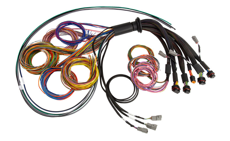 Haltech NEXUS R5 Universal Wire-In Harness - 2.5M (8ft) - HT-185200