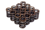 BLOX Racing Dual Valve Springs for K20A2-3 Z1-3 (2.0L DOHC i-VTEC) / K24A-3 (2.4L DOHC i-VTEC) - BXPT-10301 Photo - Primary