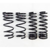 RS-R 2014-2020 Lexus IS250/350 RWD/AWD (GSE30/GSE31) Super Down Springs - T197S2 Photo - Primary