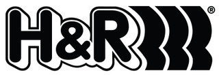 H&R 09-16 Audi A4 Avant Quattro/A7 Quattro/A4 Allroad Street Perf. Coil Over - 29092-2 Logo Image