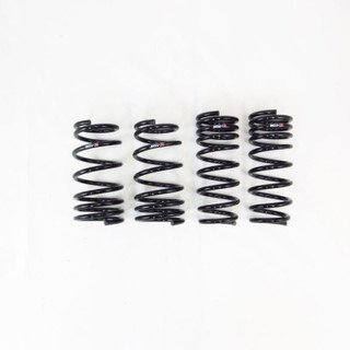 RS-R Subaru BRZ 22+ Down Sus Springs - F067D User 1