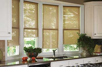 Creative Holmes custom shades