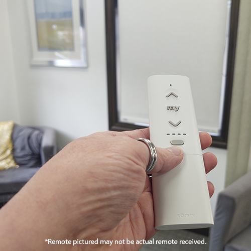 Battery Charger & Remote Combo