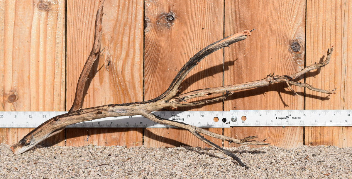 Uncleaned Manzanita 8271 22"x8"x 11"