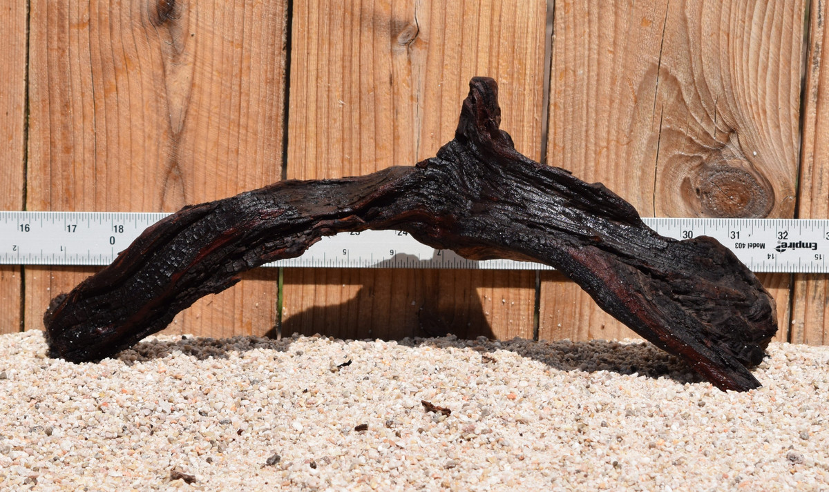 Pacificwood #0067 15"x6"x6"