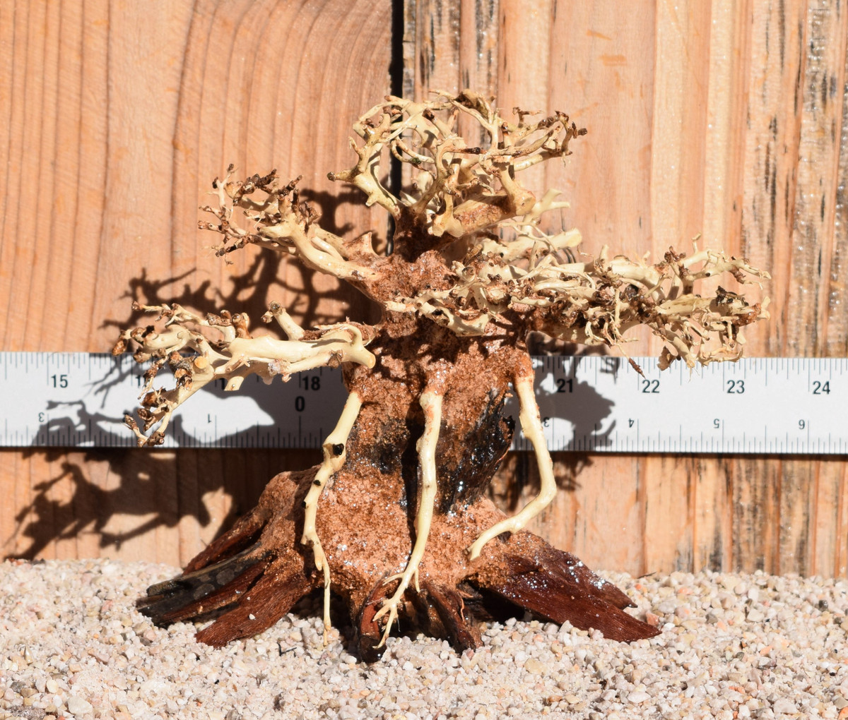 Bonsai Wood 0473 6"x 5"x 4"