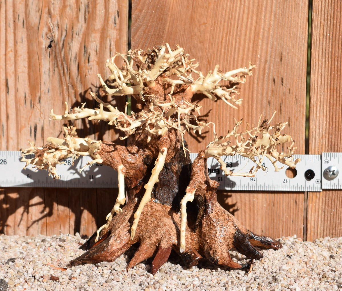 Bonsai Wood 0474 6"x 5"x 4"