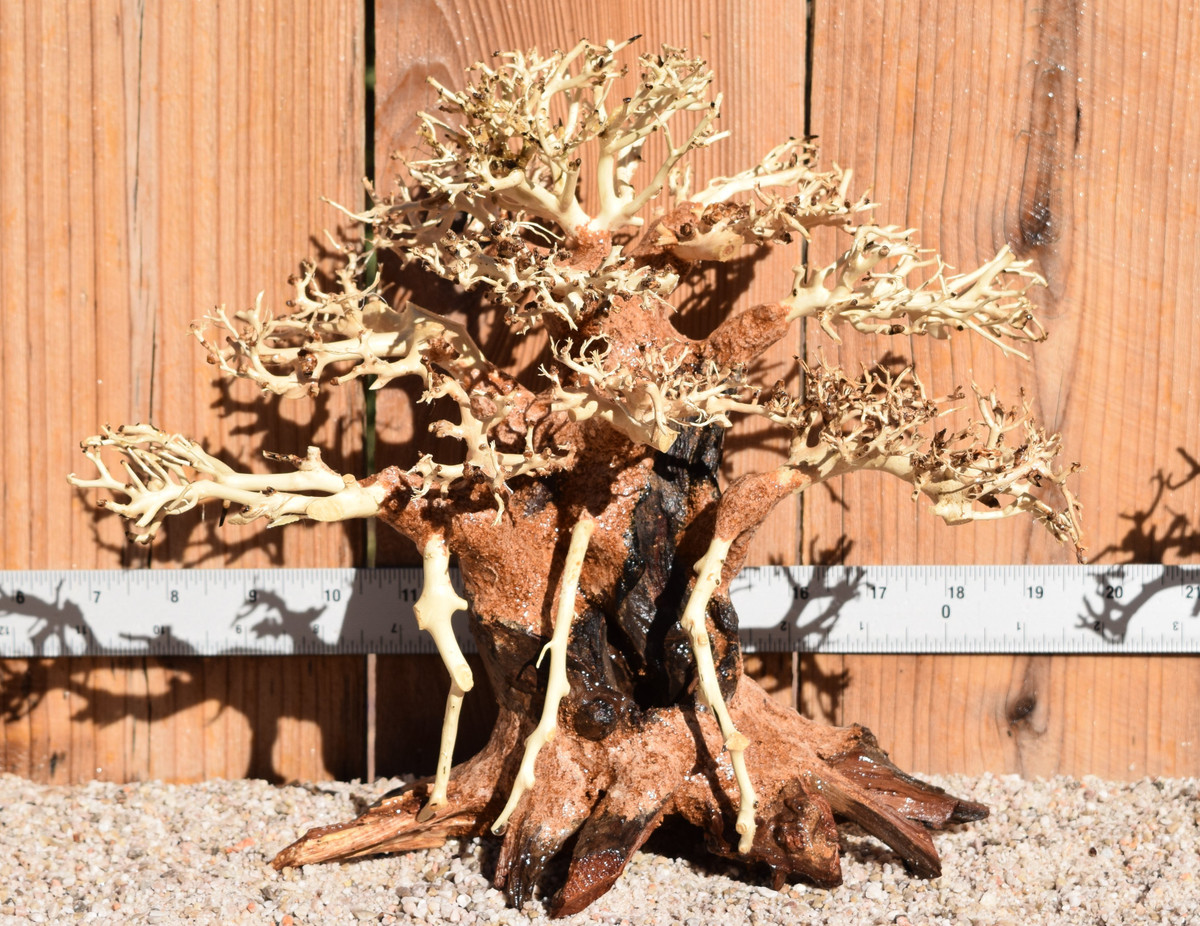 Bonsai Wood 0480 12"x 6"x 9"