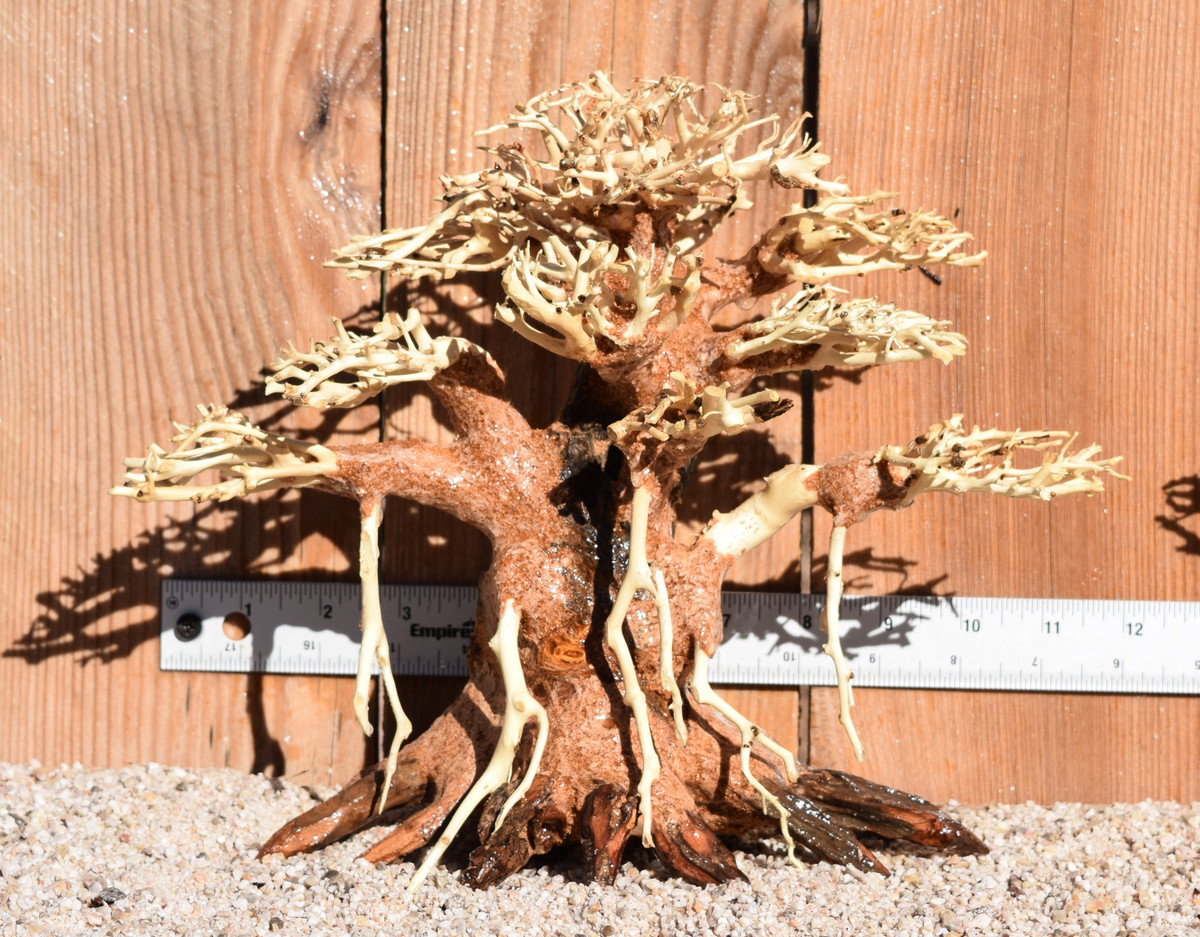 Bonsai Wood 0482 12"x 6"x 9"