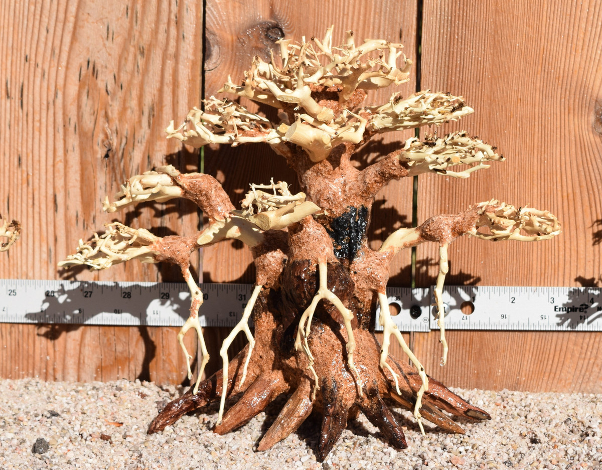 Bonsai Wood 0484 12"x 6"x 9"