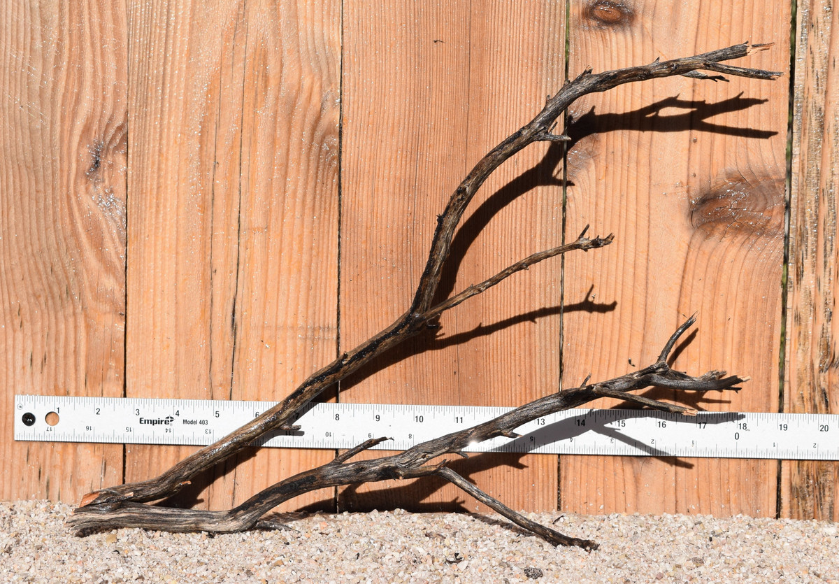 Uncleaned Manzanita 0778 18"x7"x12"