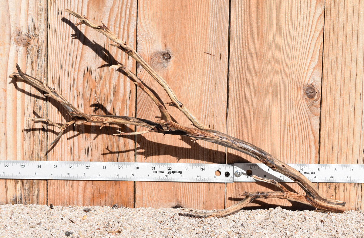 Manzanita #1202 20"x5"x12"