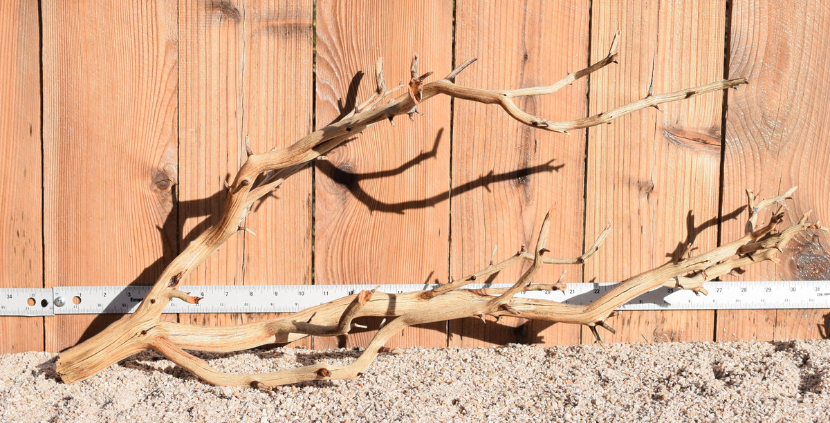 Xlg Manzanita #1310 32"x11"x12"