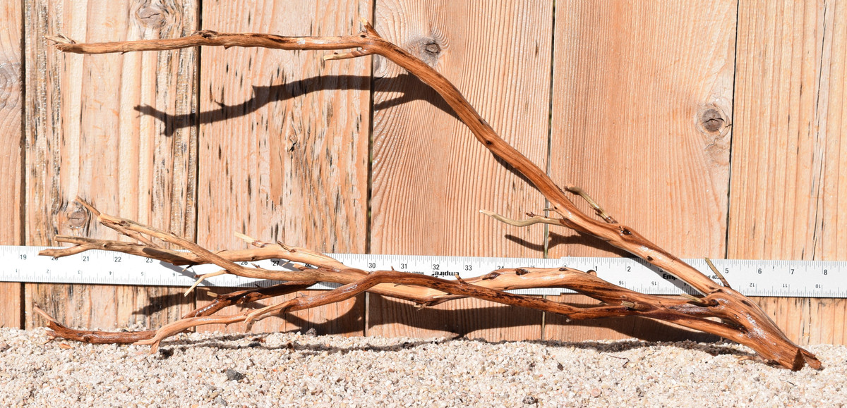 Manzanita #1338 23"x7"x11"
